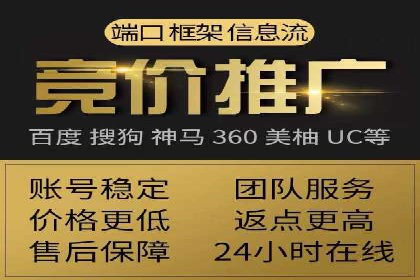百度SEO推广公司案例精选：揭秘优化策略